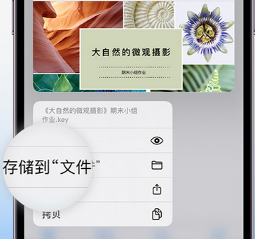 合阳apple维修中心分享iPhone文件应用中存储和找到下载文件