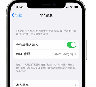 合阳apple服务站点分享iPhone上个人热点丢失了怎么办 