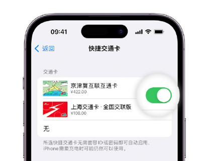 合阳apple维修点分享iPhone上更换Apple Pay快捷交通卡手绘卡面 