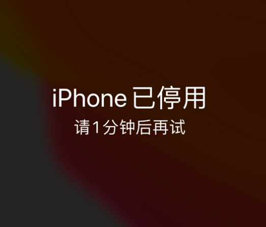 合阳苹果手机维修分享:iPhone 显示“不可用”或“已停用”怎么办？还能保留数据吗？ 