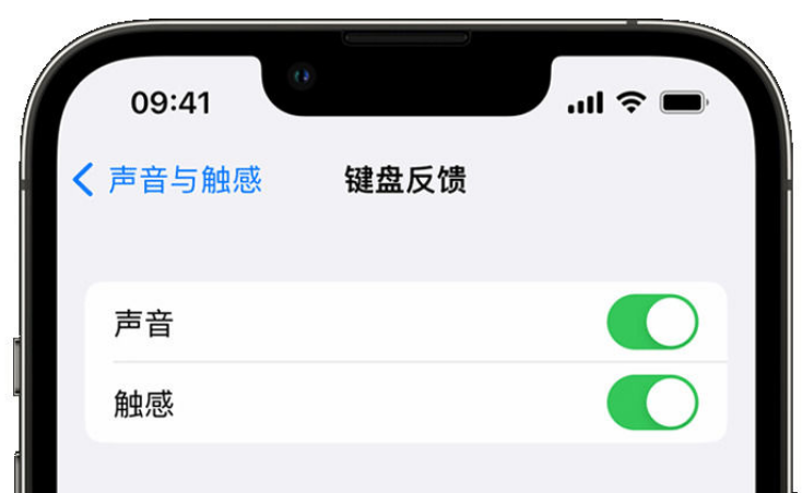 合阳苹果手机维修分享iPhone 14触感键盘使用方法 