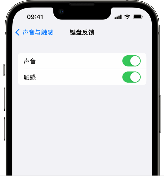 合阳苹果14维修店分享如何在 iPhone 14 机型中使用触感键盘 