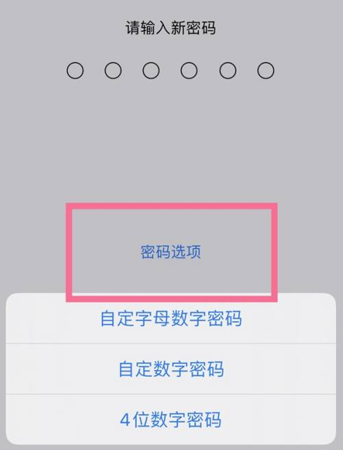 合阳苹果14维修分享iPhone 14plus设置密码的方法 