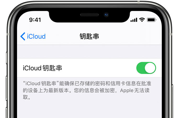 合阳苹果手机维修分享在 iPhone 上开启 iCloud 钥匙串之后会储存哪些信息 