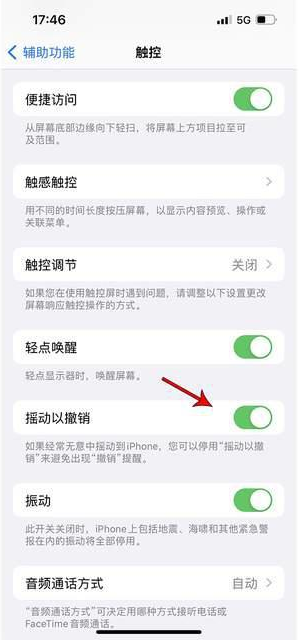 合阳苹果手机维修分享iPhone手机如何设置摇一摇删除文字 