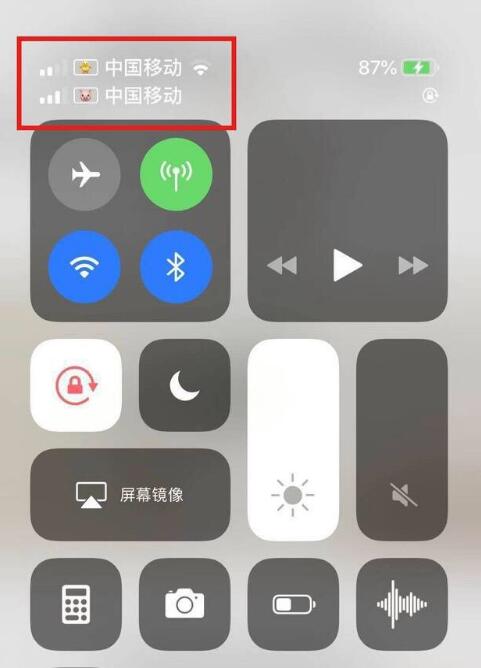 合阳苹果手机维修分享为 iPhone 12 双卡设置标签 